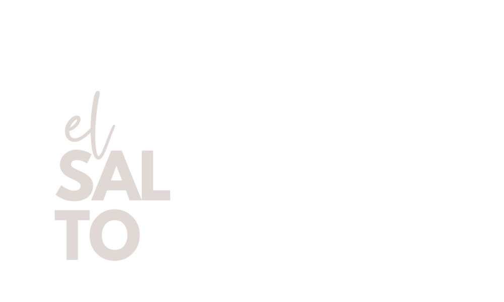 El Salto a la Acción
